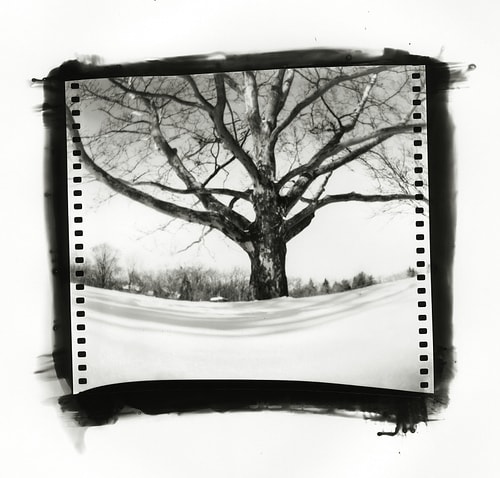 tree-tone