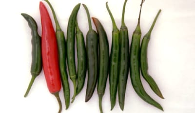 Peppers