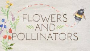 Creating A Realistic Flower and Pollinator