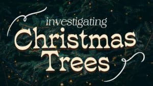 Investigating Christmas Trees