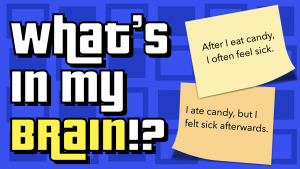 Complex or Compound – What’s In My Brain