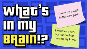 Simple or Compound Sentences – What’s In My Brain?