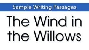 Writing Sample: The Wind in the Willows
