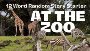 12 Phrases: The Zoo