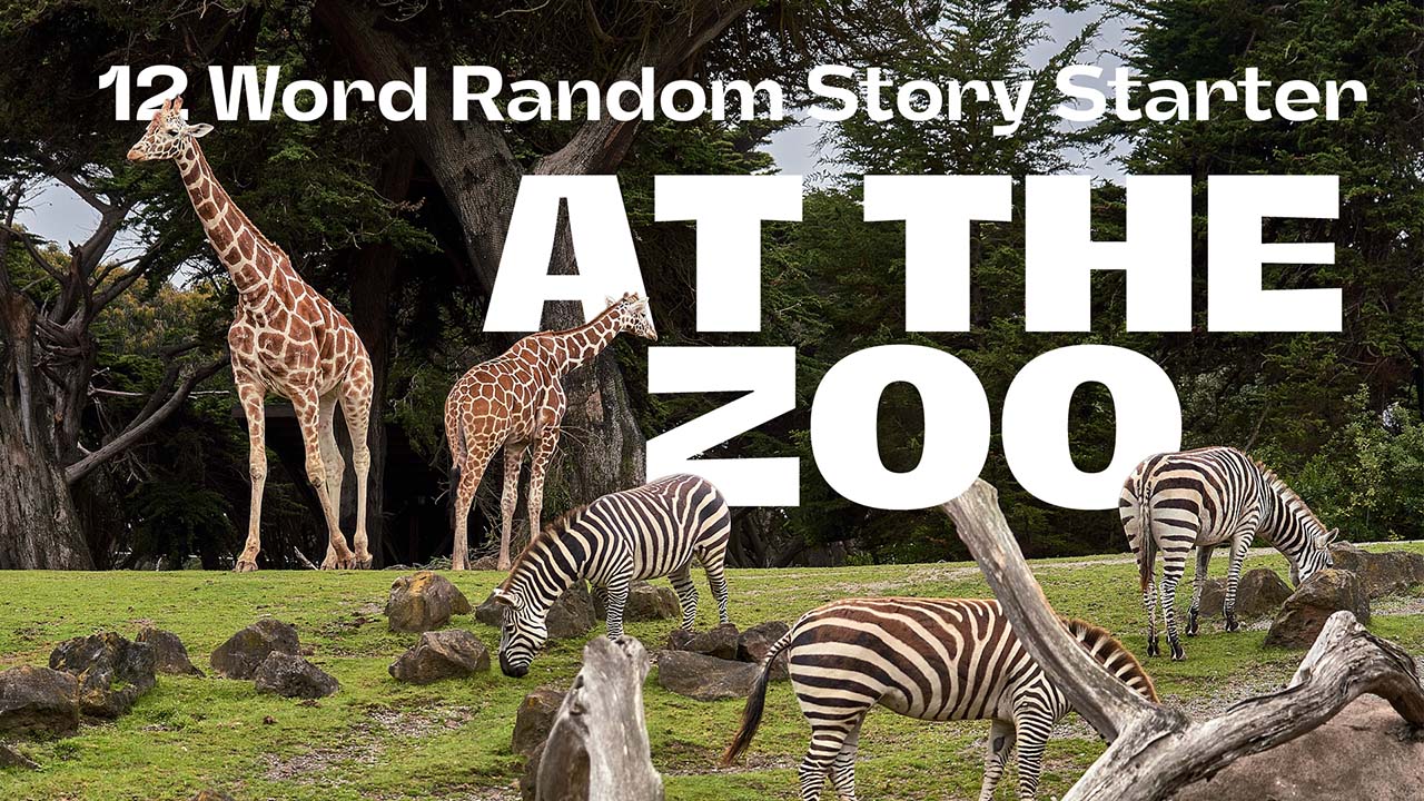 12 Phrases: The Zoo (members only)