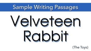 Writing Sample: The Velveteen Rabbit (The Toys)