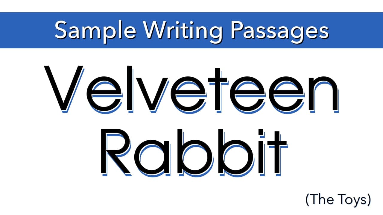 Writing Sample: The Velveteen Rabbit (The Toys) (members only)