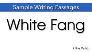 Writing Sample: White Fang (The Wild)