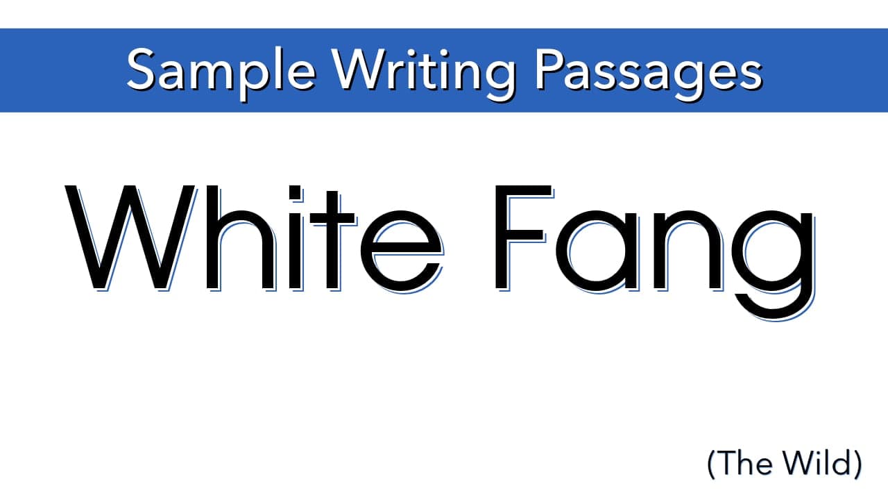 Writing Sample: White Fang (The Wild) (members only)