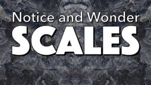 Notice, Wonder: Scales