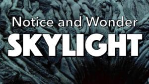 Notice, Wonder: Skylight