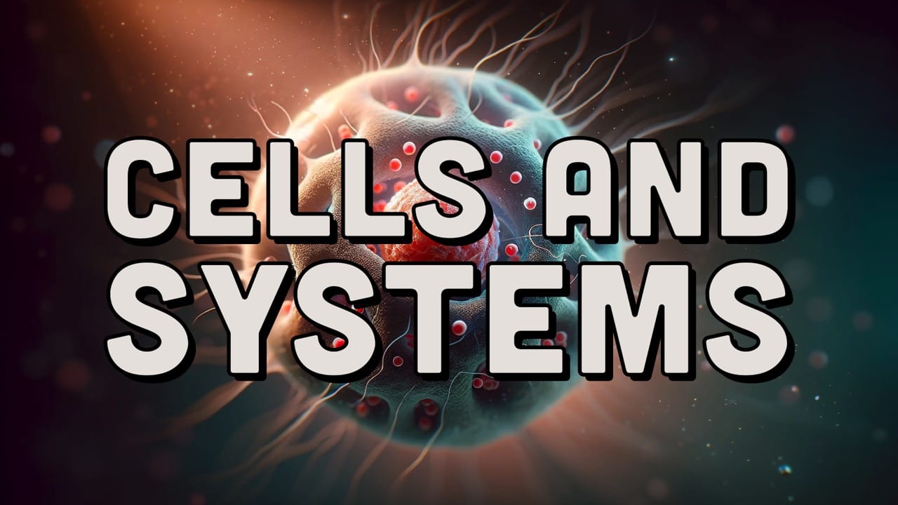 A System Similar to a Cell ＊ Byrdseed.TV