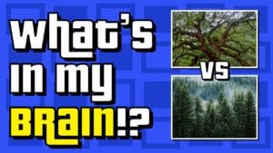 What’s In My Brain: Tree vs Tree