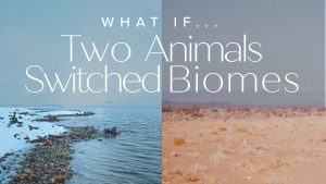 Two Animals Switch Biomes