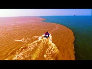 Where the Yellow River Meets the Sea