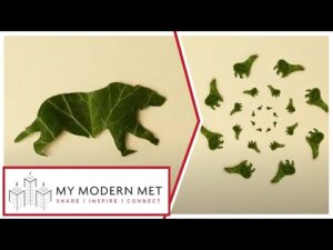 Stop-Motion Animation Made With Leaves