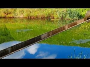 The Moses Bridge