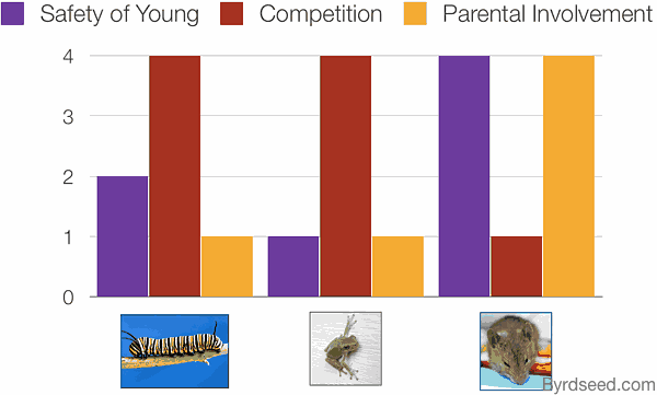 lifecycles.png Lifecycles